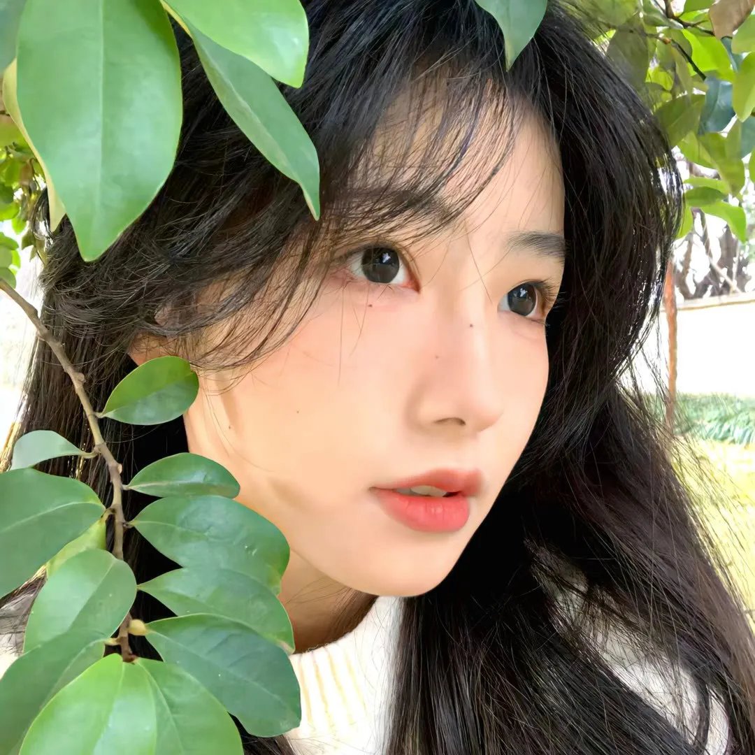 女士之街